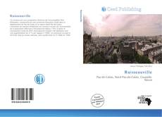 Capa do livro de Ruisseauville 
