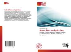Borítókép a  Beta-diketone hydrolase - hoz
