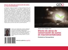 Borítókép a  Efecto de obras de conservación de suelos en macroinvertebrados - hoz