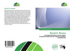 Portada del libro de David H. Remes