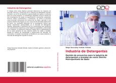 Bookcover of Industria de Detergentes
