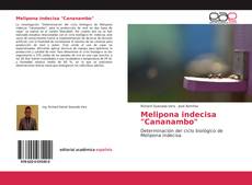 Buchcover von Melipona indecisa "Cananambo"