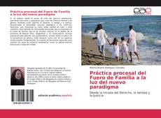 Práctica procesal del Fuero de Familia a la luz del nuevo paradigma kitap kapağı
