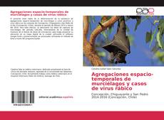 Agregaciones espacio-temporales de murciélagos y casos de virus rábico kitap kapağı