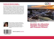 Borítókép a  Gestión de efluentes líquidos resultantes del Proceso Minero - hoz