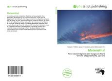 Portada del libro de Meisenthal