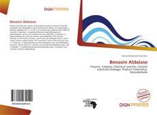 Capa do livro de Benzoin Aldolase 