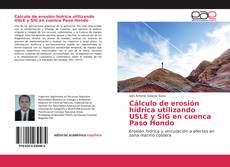 Bookcover of Cálculo de erosión hídrica utilizando USLE y SIG en cuenca Paso Hondo