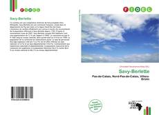 Savy-Berlette的封面