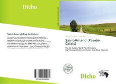 Buchcover von Saint-Amand (Pas-de-Calais)