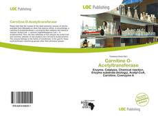 Copertina di Carnitine O-Acetyltransferase