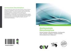 Portada del libro de Acetoacetate Decarboxylase