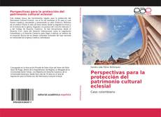 Bookcover of Perspectivas para la protección del patrimonio cultural eclesial