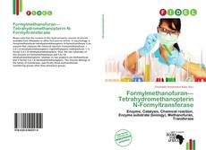 Formylmethanofuran—Tetrahydromethanopterin N-Formyltransferase的封面