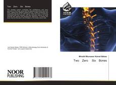 Bookcover of Two Zero Six Bones