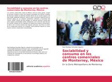 Bookcover of Sociabilidad y consumo en los centros comerciales de Monterrey, México