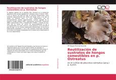 Bookcover of Reutilización de sustratos de hongos comestibles en p. Ostreatus
