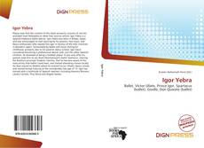 Capa do livro de Igor Yebra 