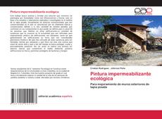 Bookcover of Pintura impermeabilizante ecológica