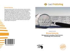 Buchcover von Brand Velocity