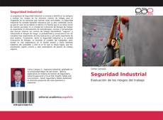 Capa do livro de Seguridad Industrial 