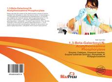 Copertina di 1,3-Beta-Galactosyl-N-Acetylhexosamine Phosphorylase