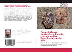 Buchcover von Foraminíferos bentónicos, Escolin, cuenca sedim. Tampico-Misantla, Méx