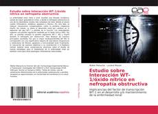 Copertina di Estudio sobre Interacción WT-1/óxido nítrico en nefropatía obstructiva