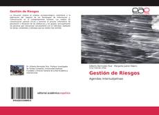 Buchcover von Gestión de Riesgos