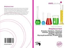 Copertina di Amylosucrase