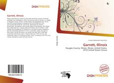 Bookcover of Garrett, Illinois