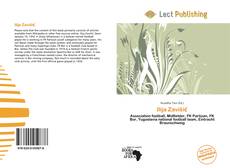 Ilija Zavišić的封面