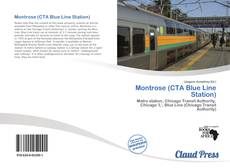 Copertina di Montrose (CTA Blue Line Station)