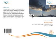 Borítókép a  Bailleulval - hoz