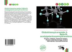 Copertina di Globotriaosylceramide 3-Beta-N-acetylgalactosaminyltransferase