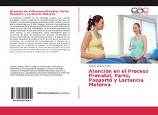 Atención en el Proceso Prenatal, Parto, Posparto y Lactancia Materna的封面