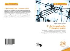 Bookcover of 2-Aminoadipate Transaminase