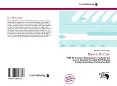 Bookcover of David Amber