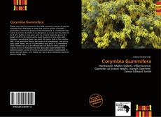 Copertina di Corymbia Gummifera