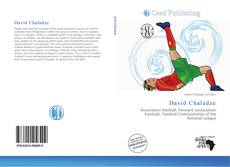 Capa do livro de David Chaladze 