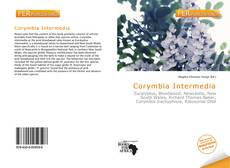 Bookcover of Corymbia Intermedia