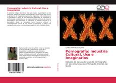 Copertina di Pornografía: Industria Cultural, Uso e Imaginarios