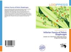 Bookcover of Inferior Fascia of Pelvic Diaphragm