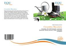 Borítókép a  Corymbia Maculata - hoz