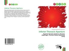Copertina di Inferior Thoracic Aperture