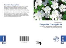 Bookcover of Corymbia Trachyphloia