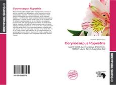 Corynocarpus Rupestris kitap kapağı