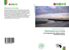 Copertina di Dammarie-sur-Loing