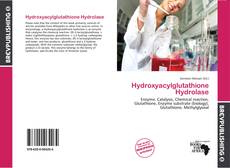 Hydroxyacylglutathione Hydrolase kitap kapağı