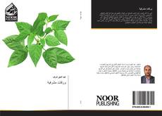 Bookcover of ورقات مشرفية